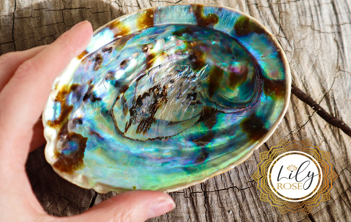 Abalone Uses & Crystal Healing Properties