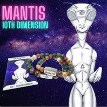 Load image into Gallery viewer, 10mm Elizabeth April Channeled Mantis Sacred Geometry Limited Edition Cosmic Species Stretch Bracelet