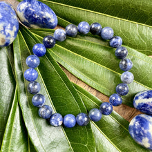 Load image into Gallery viewer, Sodalite Harmony and Truth 8mm Stretch Bracelet