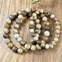 Load image into Gallery viewer, Petrified Wood Ancient Wisdom & Earthly Love Premium Collection 10mm Stretch Bracelet