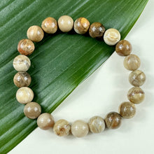 Load image into Gallery viewer, Petrified Wood Ancient Wisdom & Earthly Love Premium Collection 10mm Stretch Bracelet