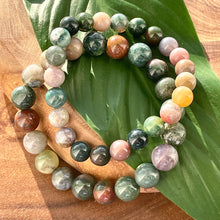 Load image into Gallery viewer, Indian Agate Growing Beauty & Inner Wisdom 10mm Stretch Bracelet