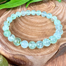 Load image into Gallery viewer, NEW STONE! Prehnite with Epidote & Black Tourmaline Grade AA Prophecy & Magic Premium Collection 8mm Stretch Bracelet