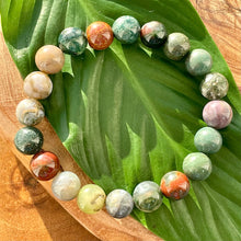 Load image into Gallery viewer, Indian Agate Growing Beauty & Inner Wisdom 10mm Stretch Bracelet