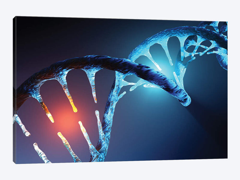 Crystals Unlocking DNA