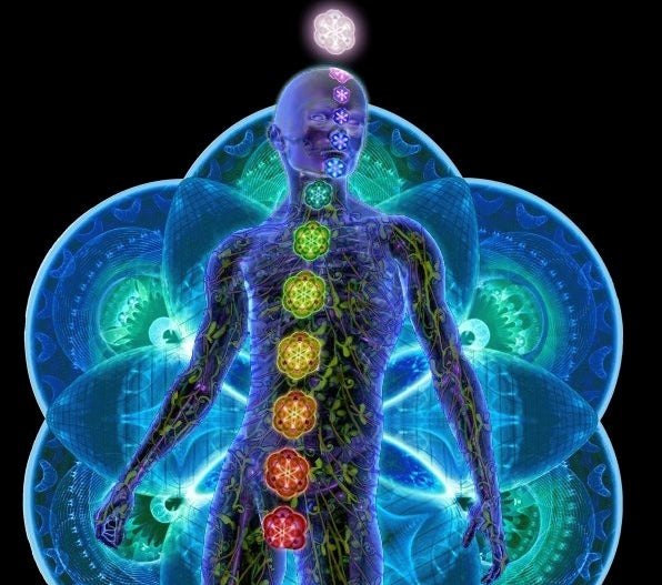 13 Chakra System