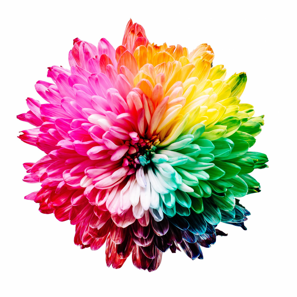 How Colors Affect Healing