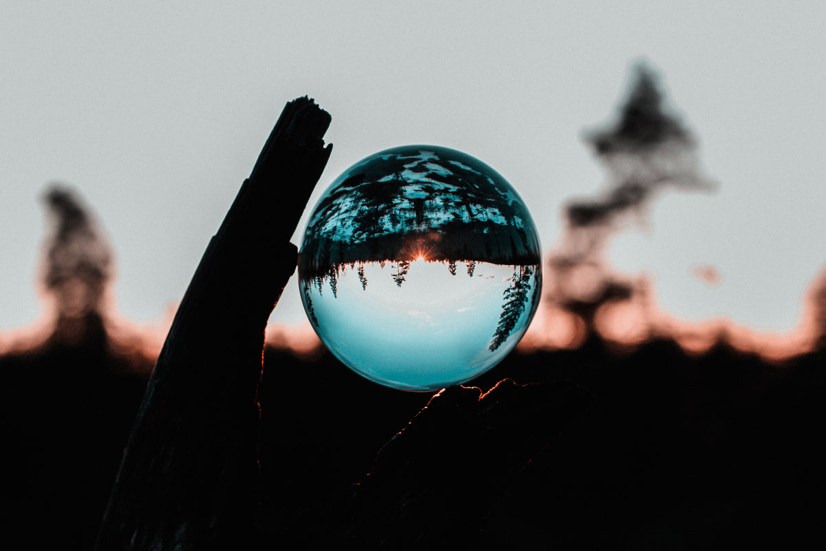 The Art of Manifestation