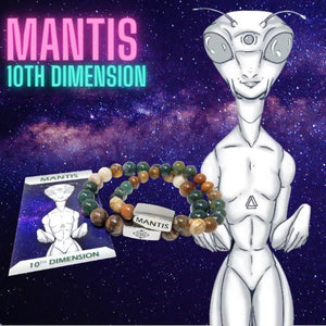 10mm Elizabeth April Channeled Mantis Sacred Geometry Limited Edition Cosmic Species Stretch Bracelet
