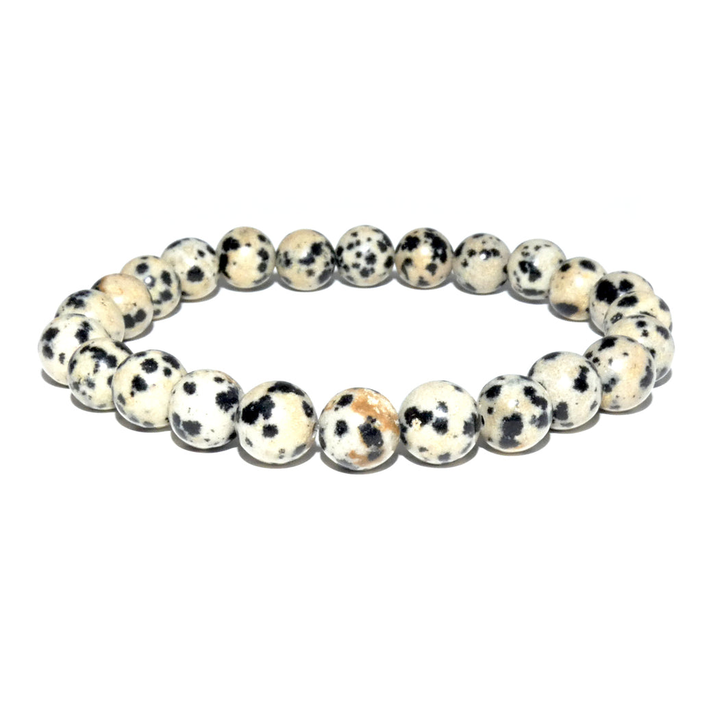 Dalmatian Jasper Nurturing & Playful 8mm Stretch Bracelet