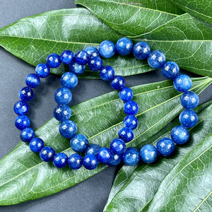 Kyanite Energy Amplifier & Master Transmutation Premium Collection 8mm Stretch Bracelet