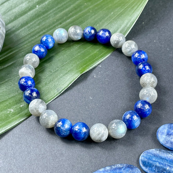 Kyanite Labradorite Duo Energy Shield & Light Worker Protection Premium Collection 8mm Stretch Bracelet