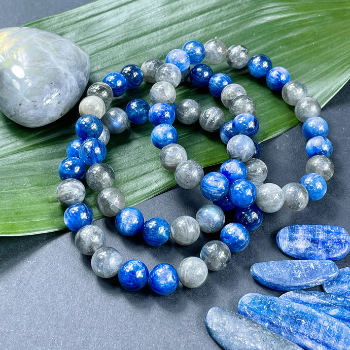 Kyanite Labradorite Duo Energy Shield & Light Worker Protection Premium Collection 10mm Stretch Bracelet