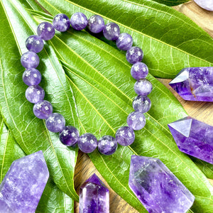 African Amethyst Queen of the Crystals Intuition 10mm Stretch Bracelet