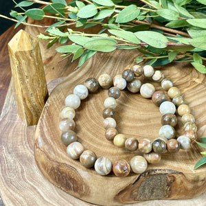 Petrified Wood Ancient Wisdom & Earthly Love Premium Collection 10mm Stretch Bracelet