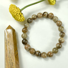 Load image into Gallery viewer, Petrified Wood Ancient Wisdom &amp; Earthly Love Premium Collection 8mm Stretch Bracelet