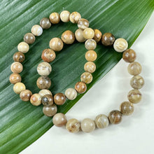 Load image into Gallery viewer, Petrified Wood Ancient Wisdom &amp; Earthly Love Premium Collection 8mm Stretch Bracelet