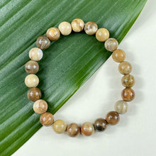 Load image into Gallery viewer, Petrified Wood Ancient Wisdom &amp; Earthly Love Premium Collection 8mm Stretch Bracelet