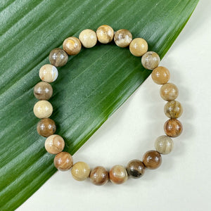 Petrified Wood Ancient Wisdom & Earthly Love Premium Collection 8mm Stretch Bracelet