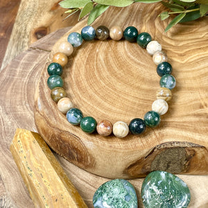 Moss Agate & Petrified Wood Wealth, Abundance & Pain Relief Premium Collection 8mm Stretch Bracelet