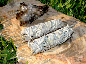 Smudge Two Bundles Organic California White Sage Sacred Native Herb Incense Spiritual Energy Cleansing Tool