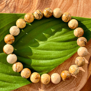 Picture Jasper Nature's Antidepressant 8mm Stretch Bracelet